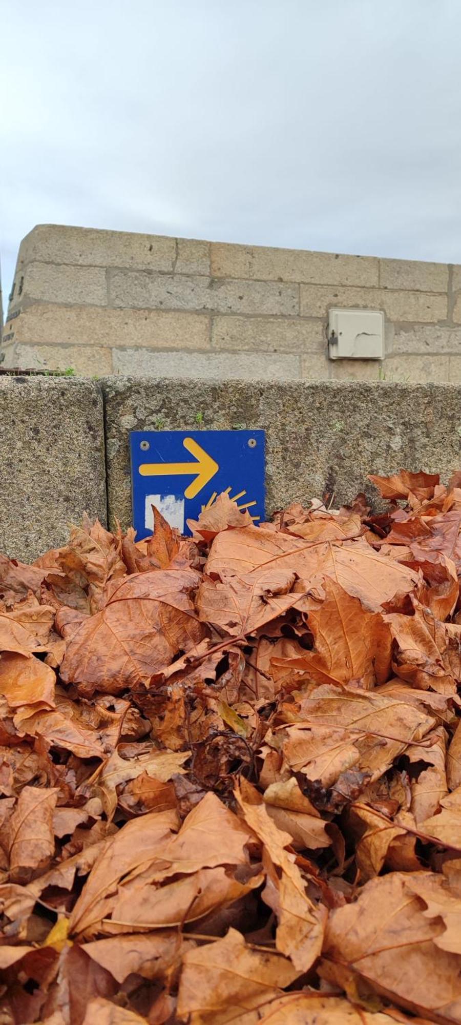 Donna Nega Alojamento Local Caminha Zewnętrze zdjęcie